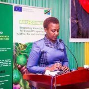 Horticulture Stakeholders Meeting and Launch of the National Horticulture Development Strategy at Morena Hotel, Dodoma on 25th October, 2022