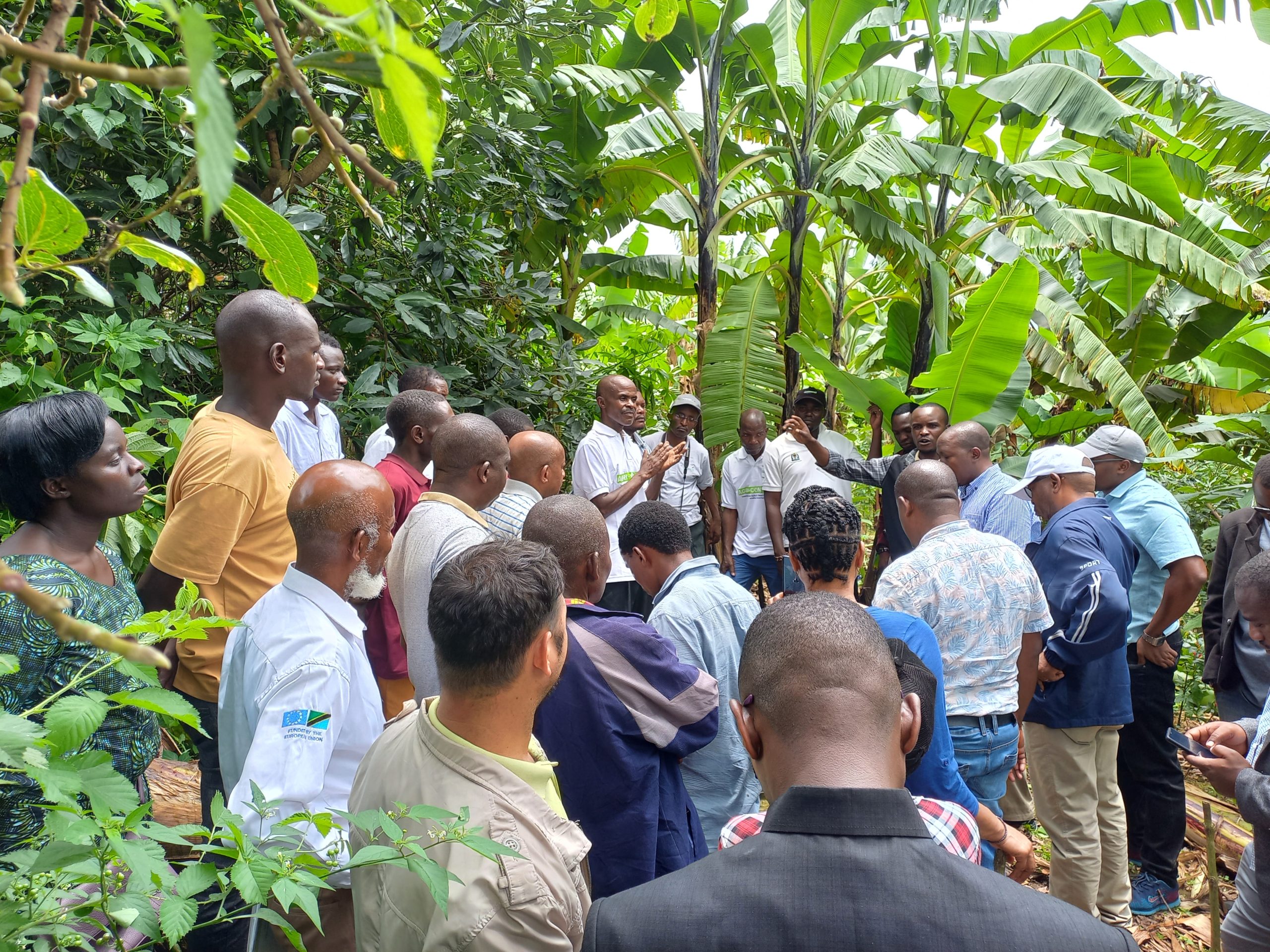 Field Visits to different projects under the AGRI-CONNECT programme in Mbeya, Southern Highlands.
