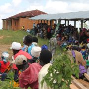 Women and youth inclusion in cooperatives. An awareness campaign successful held in Mbeya, Iringa and Njombe regions.