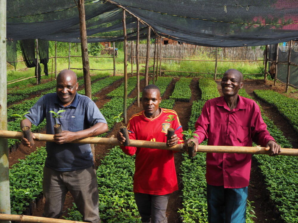 Youth farmers teach older farmers how to set up coffee business.